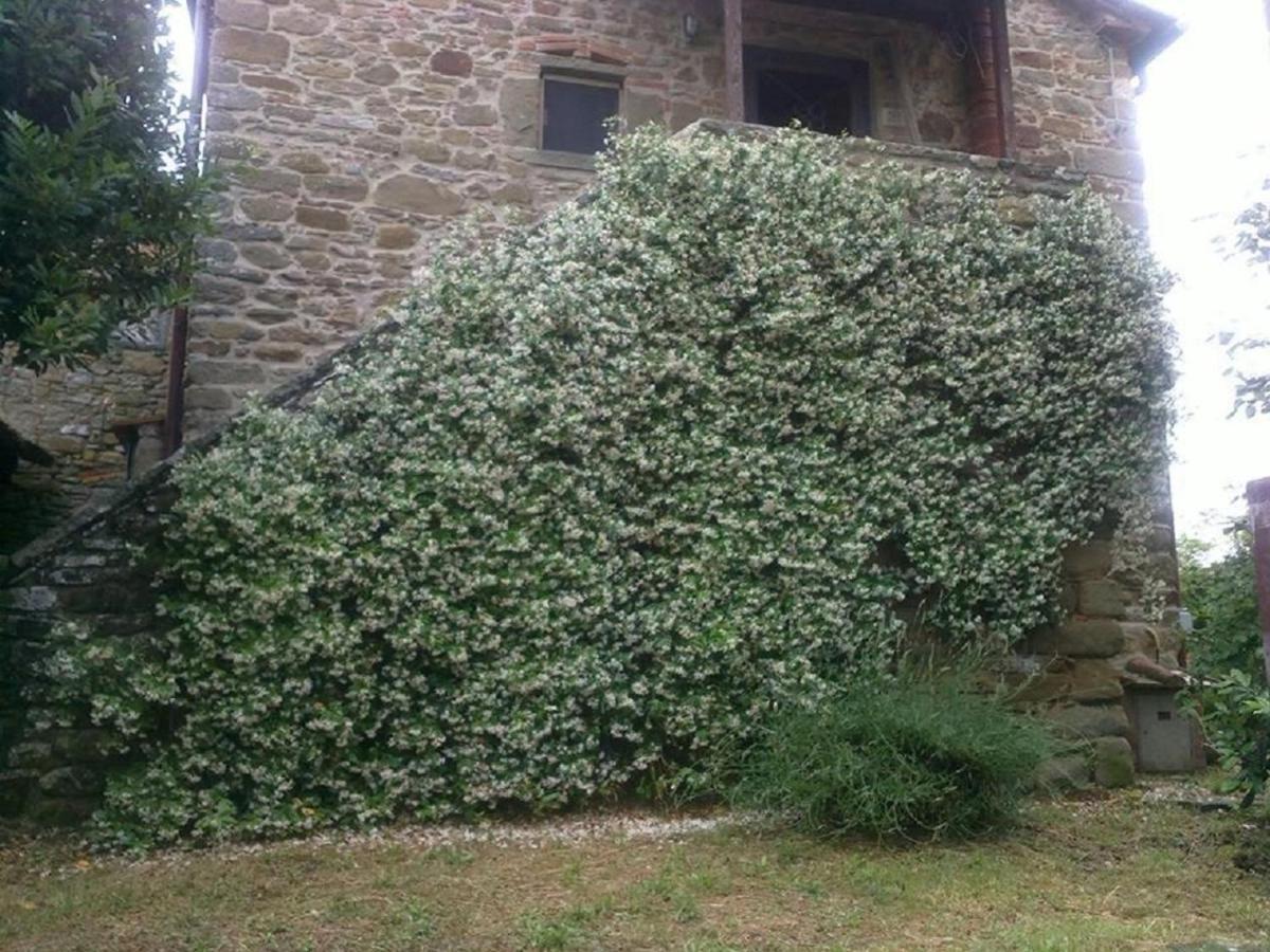 La Cuccia - La Villa-San Pacrazio Ambra 外观 照片